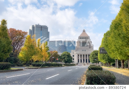 議會大廈和成排的秋季銀杏樹 議會大廈和成排的秋季銀杏樹 89380724