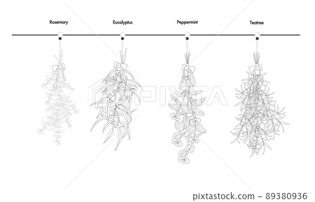 Eucalyptus, rosemary, peppermint, tea tree, fragrant plant swag 89380936