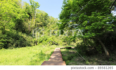 Koami no Mori (early summer) Koami no Mori (early summer) 89381265