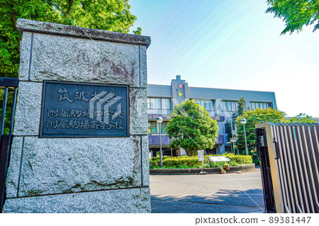 筑波大學附屬駒場中高中 89381447