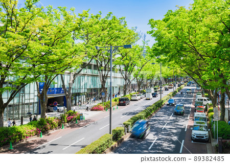 東京新鮮的綠色表參道 89382485