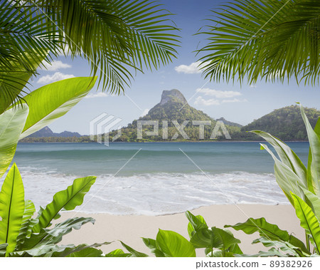 palms and island  89382926