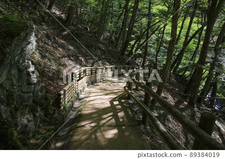 Miyoshi City, Tokushima Prefecture Oku Iya Double Kazura Bridge Promenade Miyoshi City, Tokushima Prefecture Oku Iya Double Kazura Bridge Promenade 89384019