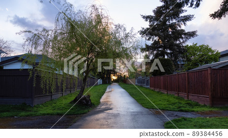 Path in the Residential Neighborhood during a colorful spring season 89384456