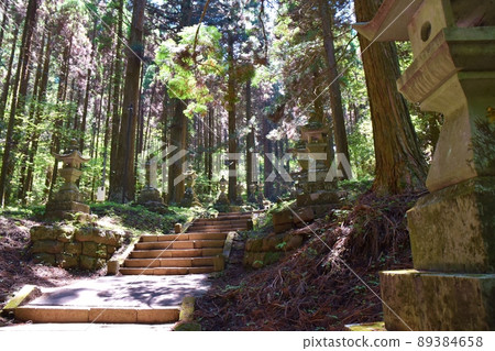 春天上色見熊野座神社熊本 春天上色見熊野座神社熊本 89384658