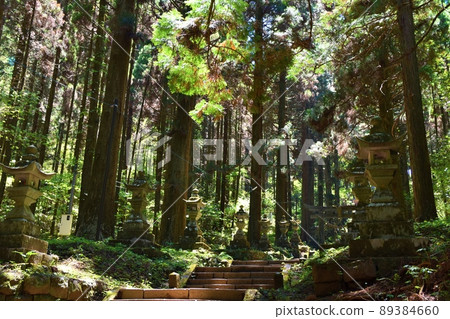春天上色見熊野座神社熊本 春天上色見熊野座神社熊本 89384660