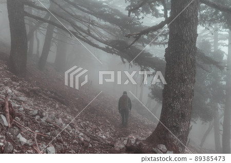 Hike in fog forest 89385473