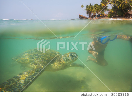 Turtle and boy Turtle and boy 89385516