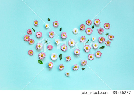Heart made of pink and white spring daisy flowers on blue background. 89386277