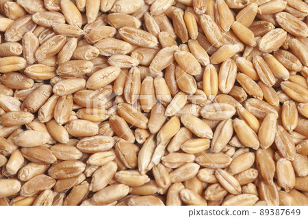 Grains of wheat background texture, top view 89387649