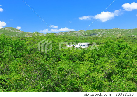 [山口縣]新鮮的綠色秋吉台（喀斯特地形） 89388156