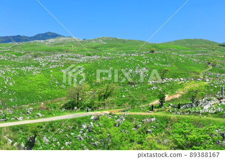 [Yamaguchi Prefecture] Fresh green Akiyoshidai (karst topography) 89388167