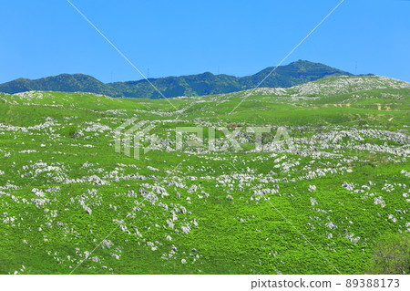 [Yamaguchi Prefecture] Fresh green Akiyoshidai (karst topography) 89388173