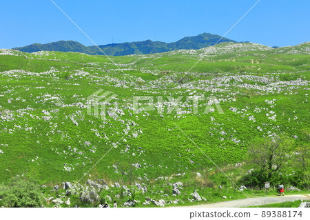 [Yamaguchi Prefecture] Fresh green Akiyoshidai (karst topography) 89388174