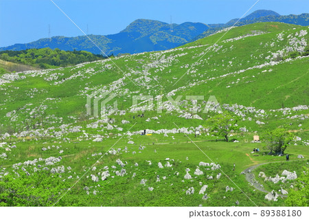 [山口縣]新鮮的綠色秋吉台（喀斯特地形） 89388180