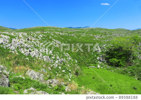 [Yamaguchi Prefecture] Fresh green Akiyoshidai (karst topography) 89388188