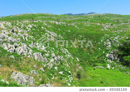 [Yamaguchi Prefecture] Fresh green Akiyoshidai (karst topography) 89388189