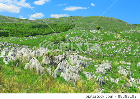 [山口縣]新鮮的綠色秋吉台（喀斯特地形） 89388192