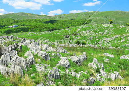 [Yamaguchi Prefecture] Fresh green Akiyoshidai (karst topography) 89388197
