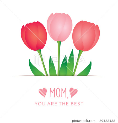 greeting card for mothers day with pink tulip greeting card for mothers day with pink tulip 89388388