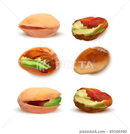 Realistic Detailed 3d Different Pistachios Set Nutshell and Kernel. Vector illustration of Ripe Pistachio Nut 89388490