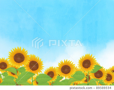 向日葵夏天圖片背景素材 向日葵夏天圖片背景素材 89389334