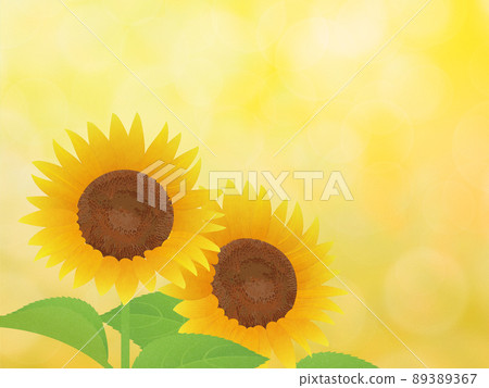 向日葵夏天圖片背景素材 向日葵夏天圖片背景素材 89389367