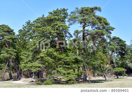 Iwate Prefecture Hiraizumi World Heritage Motsuji Jodo Garden Iwate Prefecture Hiraizumi World Heritage Motsuji Jodo Garden 89389401