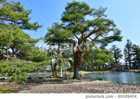 岩手縣平泉世界遺產毛辻淨土庭園大泉是池塘，龍脖子的船 89389404