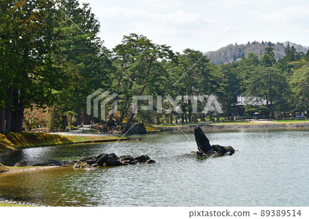 岩手縣平泉世界遺產毛辻淨土庭園大泉是池子和池中立石的出島石群 89389514