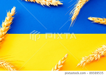 Ukraine symbol yellow wheat grain. Ukrainian symbol with wheat grain ear isolated on yellow blue flag. Solidarity Ukraine concept. Ukraine symbol yellow wheat grain. Ukrainian symbol with wheat grain ear isolated on yellow blue flag. Solidarity Ukraine concept. 89389535
