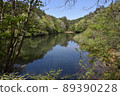 六甲山川瀨池 89390228