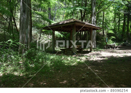六甲山頁岩道路吾妻屋 六甲山頁岩道路吾妻屋 89390254