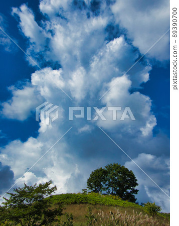 白雲 白雲 89390700