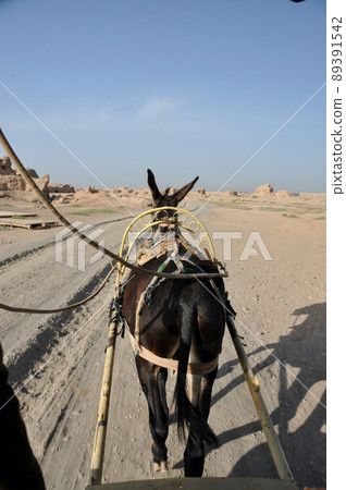 絲綢之路 中國 新疆 維吾爾自治區 吐魯番 高昌 故宮 驢車 風景 風景 藍天 晴天 宜人 絲綢之路 中國 新疆 維吾爾自治區 吐魯番 高昌 故宮 驢車 風景 風景 藍天 晴天 宜人 89391542