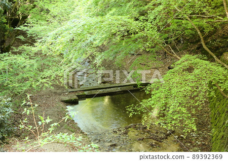 Waterfall approach without fresh green sound Waterfall approach without fresh green sound 89392369