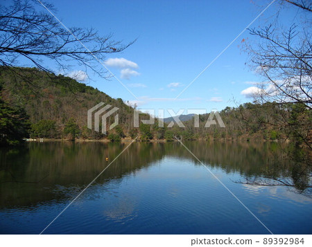 晴天時的寶池 89392984