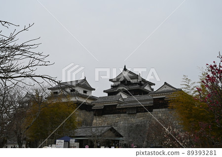 Ehime Iyo Matsuyama Castle wall, distant view, castle tower, main enclosure Ehime Iyo Matsuyama Castle wall, distant view, castle tower, main enclosure 89393281
