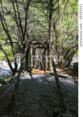 Miyoshi City, Tokushima Prefecture Oku Iya Double Kazura Bridge Onnabashi 89393541