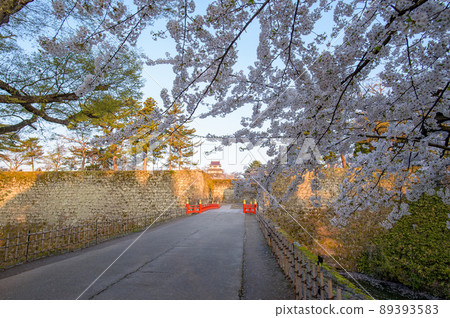 Aizu Tsuruga Castle dyed in the sunrise, Fukushima Prefecture Aizu Tsuruga Castle dyed in the sunrise, Fukushima Prefecture 89393583