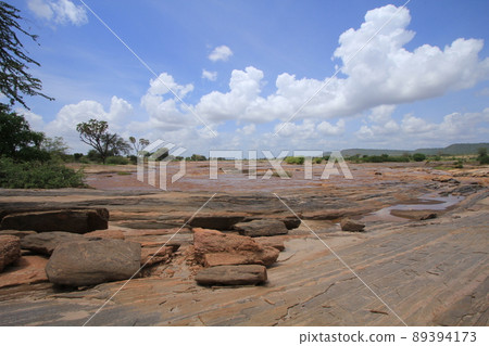 在東察沃國家公園盧加德瀑布的岸邊 在東察沃國家公園盧加德瀑布的岸邊 89394173