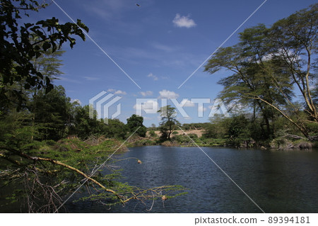 藍天,藍泉,無島泉 藍天,藍泉,無島泉 89394181