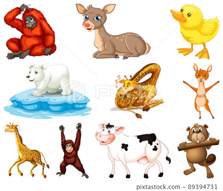 Set of animal cartoon character 89394731