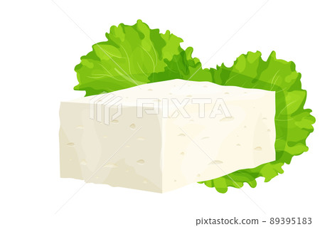 Feta cheese piece in cartoon style detailed ingredient isolated on white background. Greek curd white cheese made from sheeps milk or milk bean.  89395183