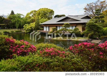 春天的日本庭園 春天的日本庭園 89395903