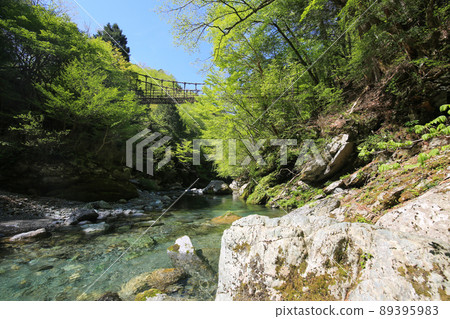 德島縣三好市 奧祖谷 雙神橋 男橋和祖谷溪谷 德島縣三好市 奧祖谷 雙神橋 男橋和祖谷溪谷 89395983