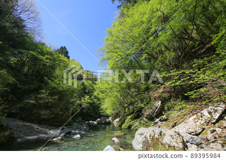 德島縣三好市 奧祖谷 雙神橋 男橋和祖谷溪谷 德島縣三好市 奧祖谷 雙神橋 男橋和祖谷溪谷 89395984