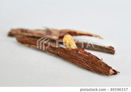 Natural'boke's that inhabited wild grapes 89396337