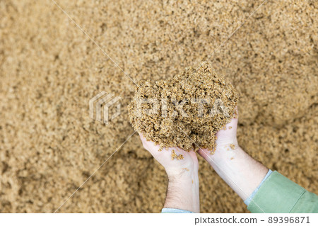 Hands of male farmworker holding handful of brewers grains Hands of male farmworker holding handful of brewers grains 89396871