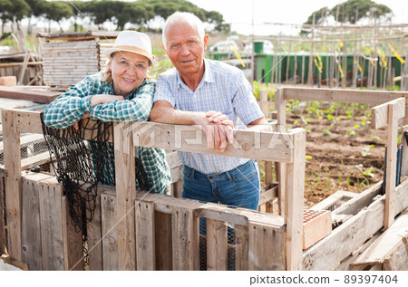 Portrait of a happy elderly couple in the garden Portrait of a happy elderly couple in the garden 89397404